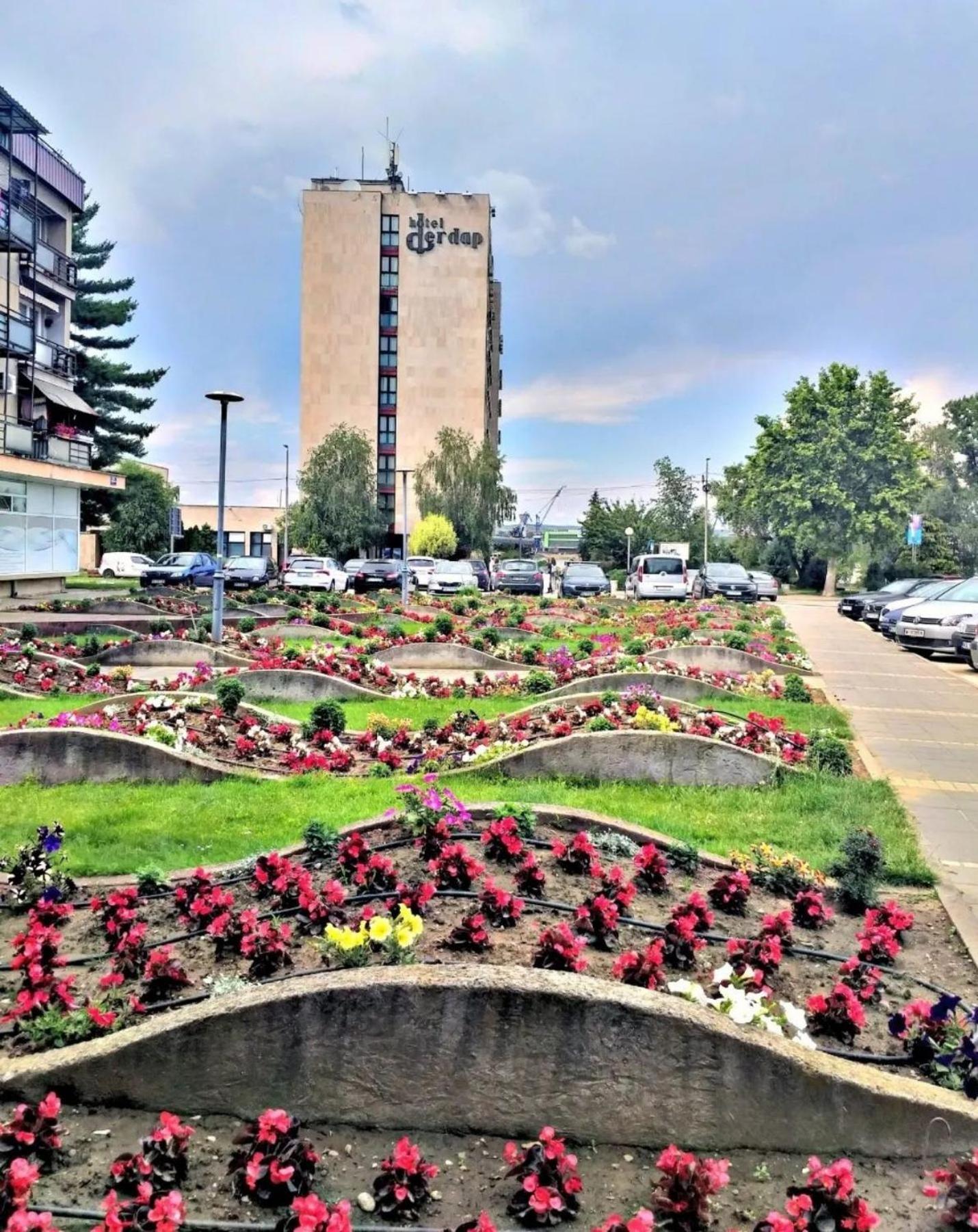 Koki Apartament Cladova